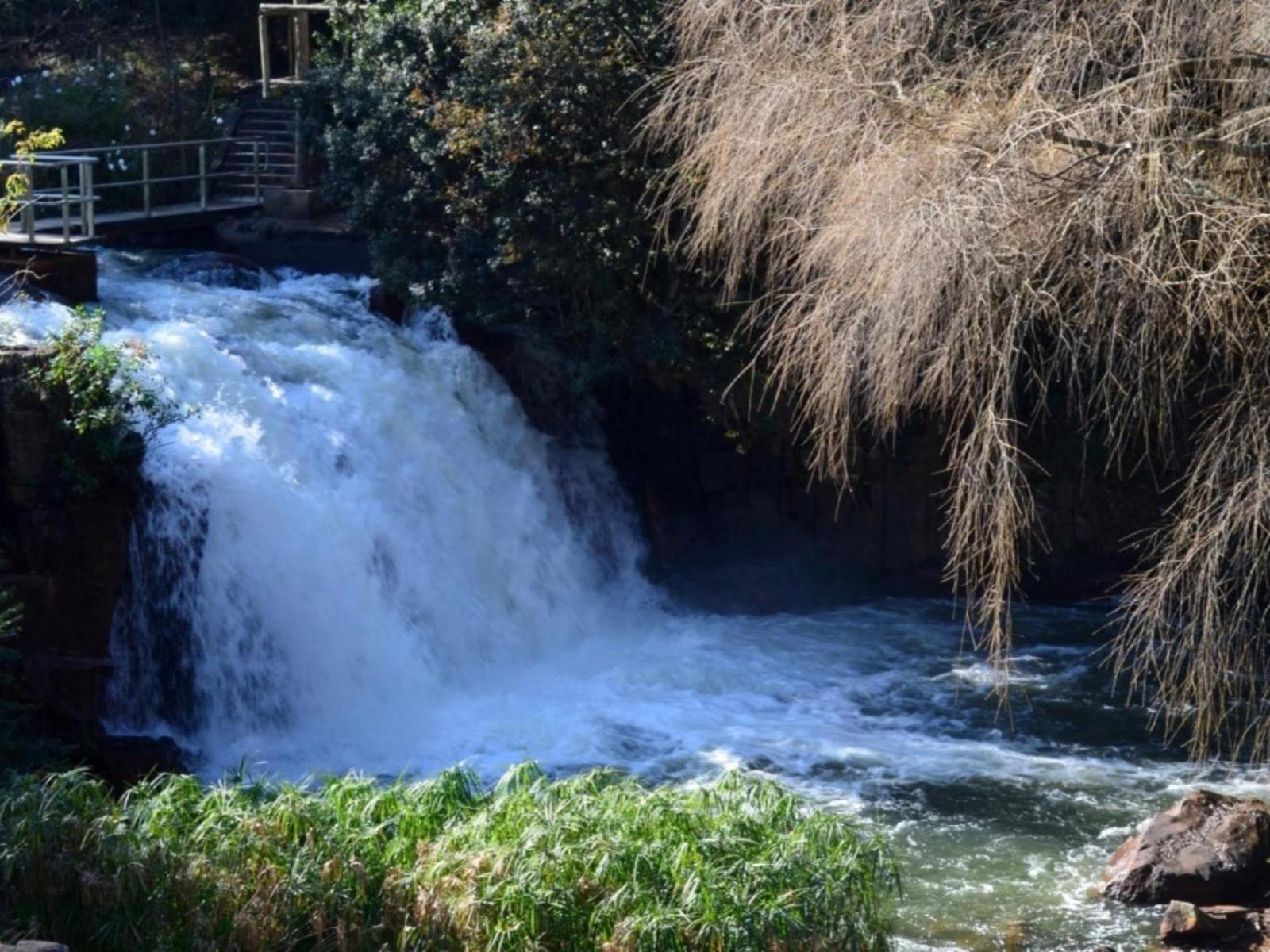 The Falls *